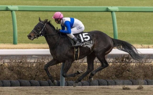 【上総S】ロードクロンヌが4連勝でオープン入り