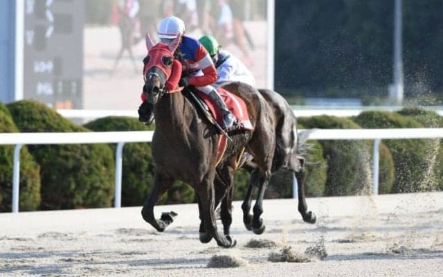 【地方競馬】木之前葵が暫定1位…レディスジョッキーズシリーズ2025