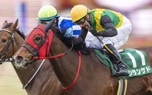 【中山牝馬S】デムーロ「落ち着いていたらすごく能力が高い」シランケドが重賞初制覇