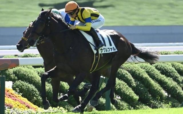 【今日の注目ポイント】クラシックへの登竜門・弥生賞ディープインパクト記念