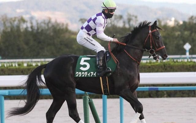 【競馬予想】弥生賞は今年も荒れる!?　過去の激走馬によく似た穴馬候補２頭