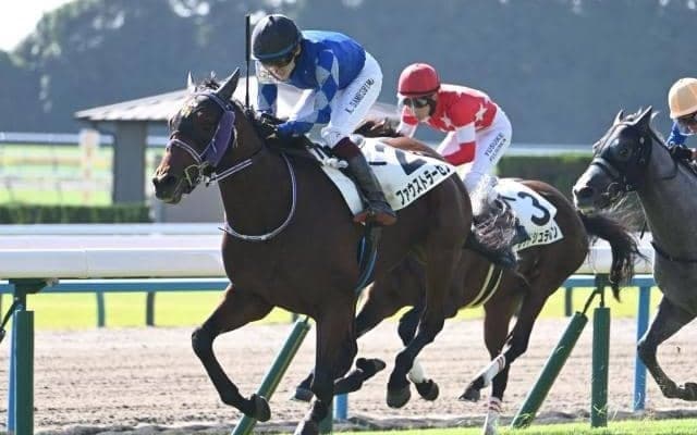 【弥生賞予想】狙える「枠」「前走」「脚質」は？ 過去データから探るGII弥生賞