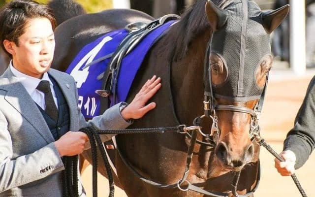 【弥生賞】馬場は内外フラットか 時計も少しかかり気味 軸はミュージアムマイルがベスト