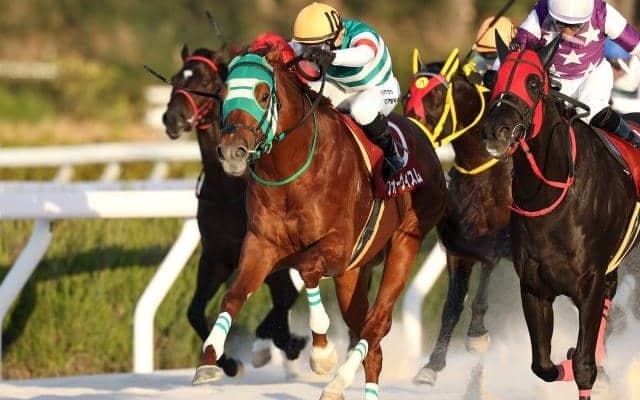 【船橋・京成盃グランドマイラーズ枠順】前走でダートグレード競走制覇のフォーヴィスムは8枠9番
