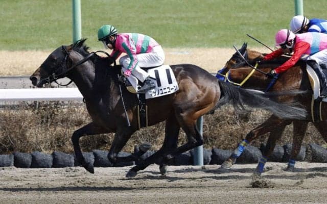 【中山6R】9番人気マサノユニコーンが2連勝