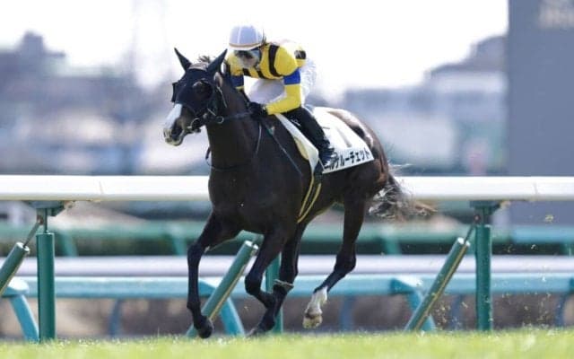 【中山5R】ルナルーチェットが7馬身差圧勝