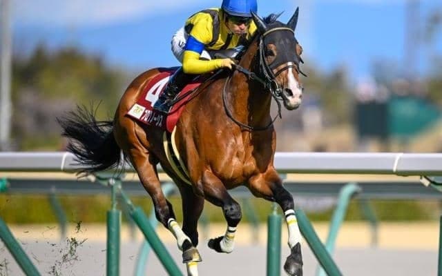 スプリングS、金鯱賞など3重賞/今週の競馬界の見どころ