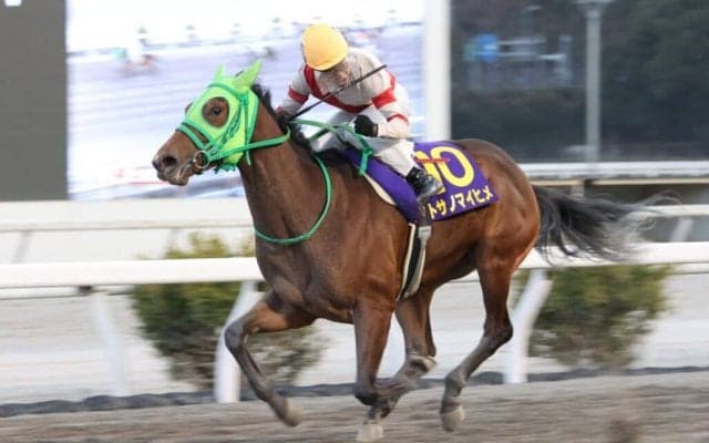 【高知・土佐春花賞】トサノマイヒメが重賞初勝利…多田羅「一段と力をつけた」