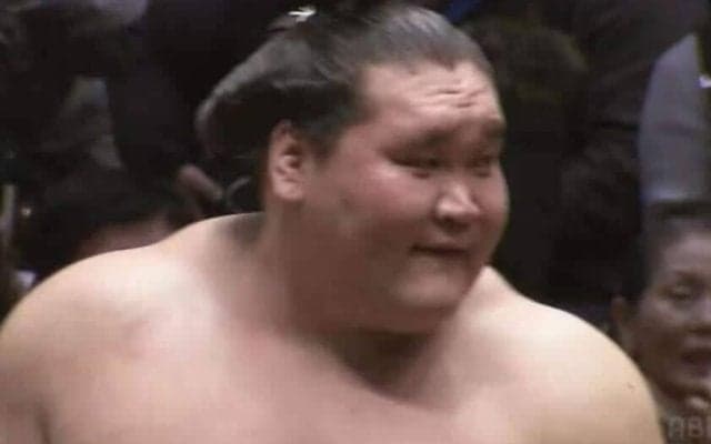 「風格やば」「まだ戦える」現役引退元横綱・照ノ富士の“激レア”な警備員姿に反響「完全に強そう」