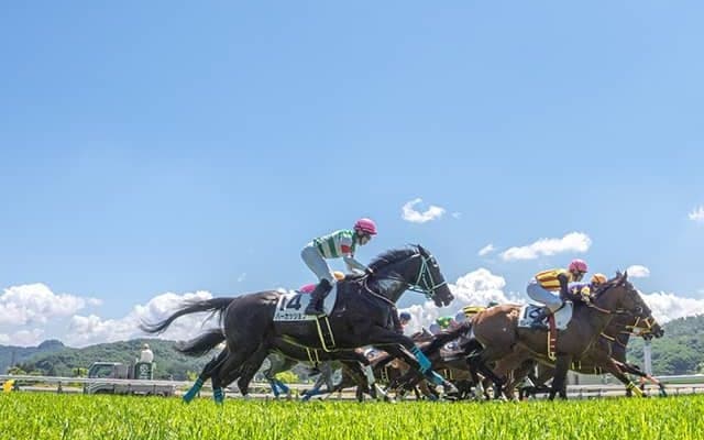 「お知らせいたします。○○競馬△レースの…」の声 その正体をJRAに尋ねてみると