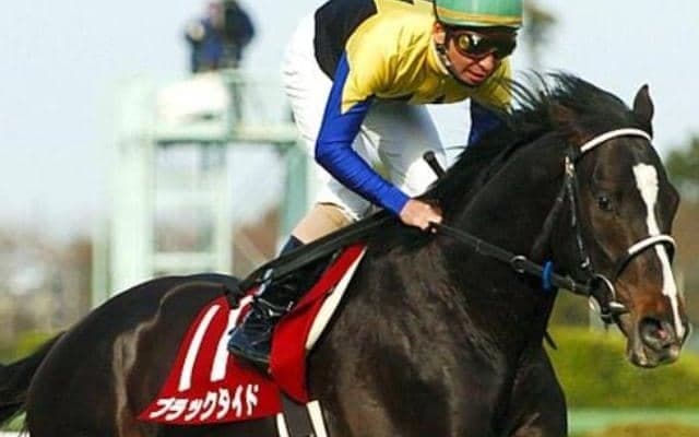 ディープインパクトの全兄 キタサンブラックの父が魅せた重賞初制覇