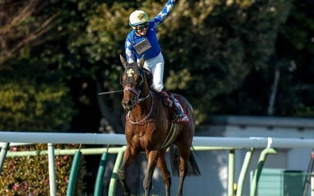 【弥生賞】売上は94億5652万6100円で昨年より約4億円増加