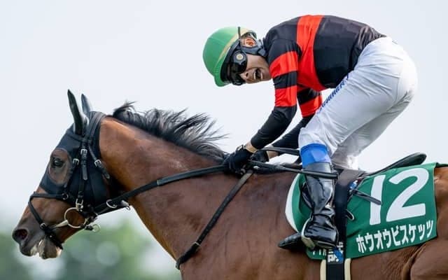【金鯱賞見どころ】今年はGI制覇に向かうホウオウビスケッツ