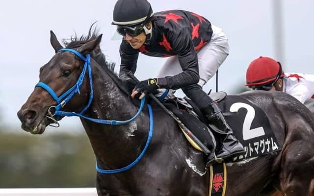 【スプリングS見どころ】競馬巧みなジェットマグナムが巻き返す