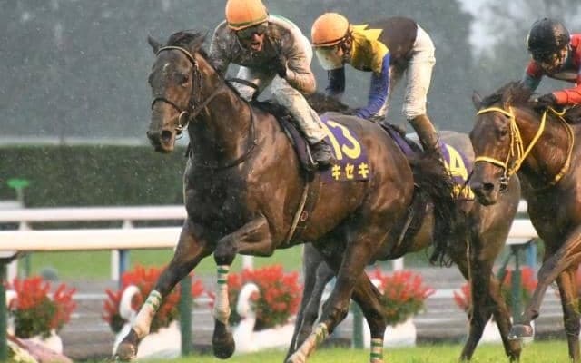 【25年の新種牡馬たち】「エアグルーヴ3×3」や「ディープ×ブラックタイドの全兄弟3×2」 キセキ産駒には強烈なクロス持つ馬も