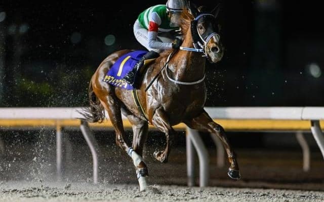 【船橋・ダイオライト記念枠順】連覇を狙うセラフィックコールは8枠12番