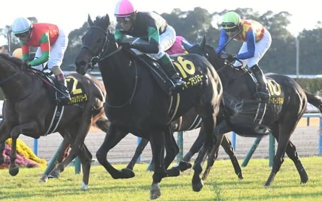 【AI予想・金鯱賞】関西馬が好成績を残す中京名物重賞！ 本命候補は距離適性に魅力を感じる3頭