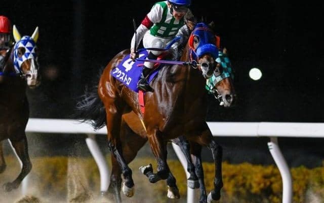 【大井・フジノウェーブ記念枠順】重賞連勝中のアウストロは6枠11番