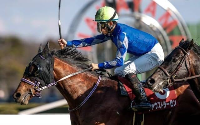 産駒の馬場適性も“二刀流”？ モズアスコットの血統傾向を深堀り