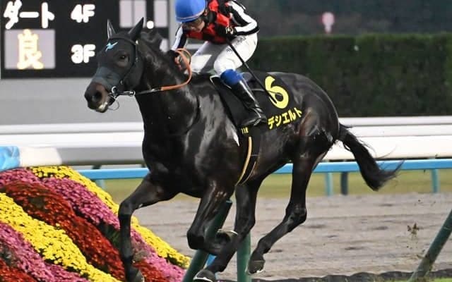 【金鯱賞展望】同条件の前走を逃げ切ったデシエルトの重賞連勝を期待
