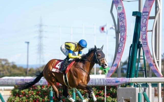 金鯱賞は今年60歳の“還暦” 1965年が第1回のものは