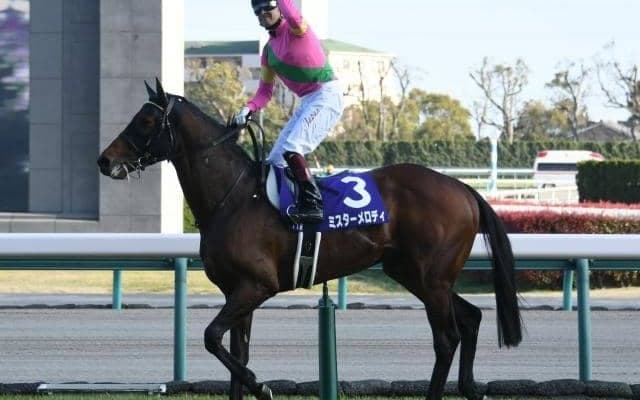 連対率は脅威の40％超え “ダートのミスターメロディ”が今年の血統トレンド