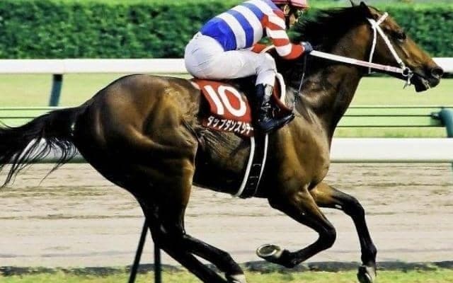 タップダンスシチーの金鯱賞V3から20年 今年プログノーシスは続けるか