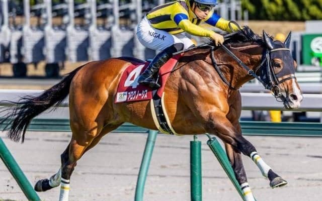 史上2頭目の金鯱賞3連覇へ ディープ産駒のGII・3勝馬がエントリー