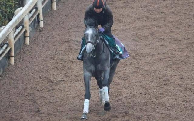 カレンショーなど、先週の入厩情報/栗東トレセンニュース