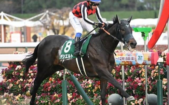 【金鯱賞予想オッズ】デシエルトが予想1番人気
