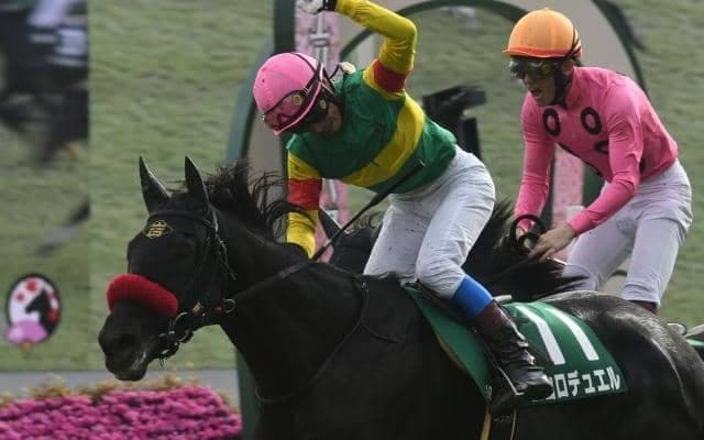 【阪神SJ予想オッズ】エコロデュエルが予想1番人気