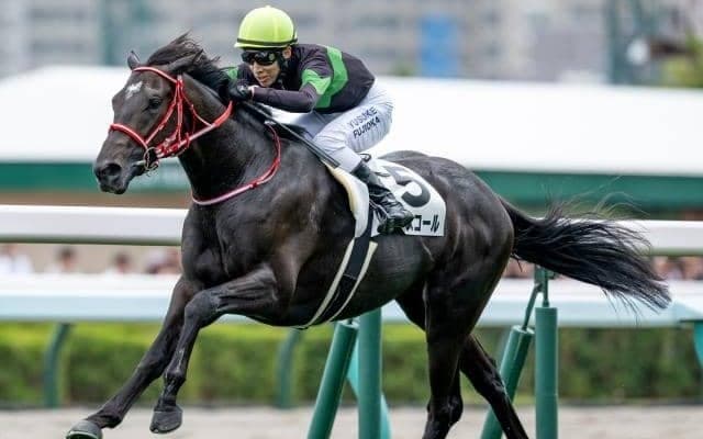 【スプリングS予想オッズ】キングスコールが予想1番人気