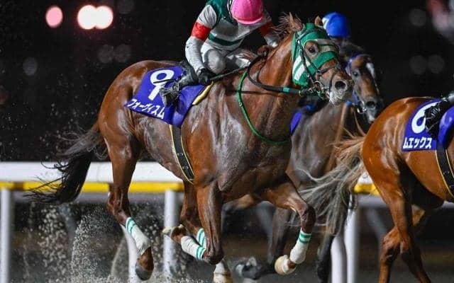 【船橋・京成盃グランドマイラーズ結果】フォーヴィスムが差し切って重賞連勝！