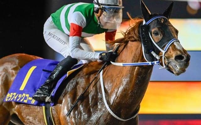 【船橋・ダイオライト記念注目馬】数少ないダートの長距離戦 “リピーター”の好走に要注意