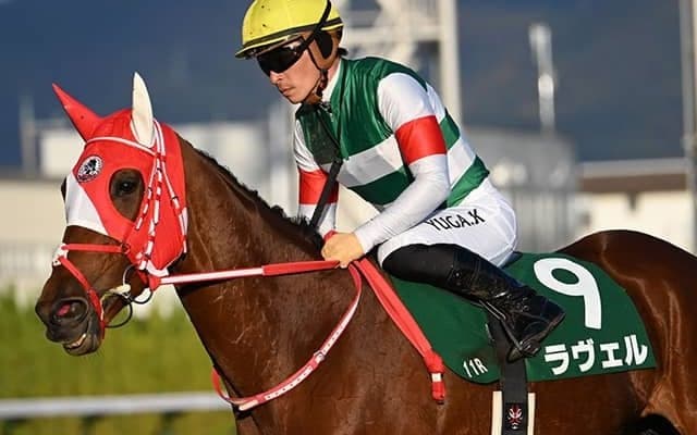 30年ぶりに牝馬の金鯱賞Vなるか 重賞ウイナー3頭が牡馬撃破に挑戦