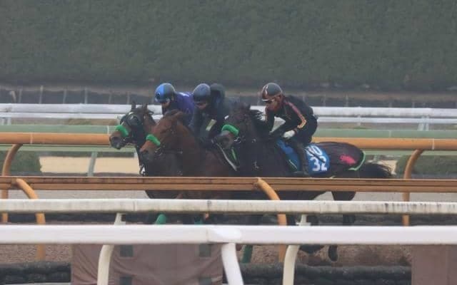 ジョバンニ、若葉S1週前追い切り速報/栗東トレセンニュース