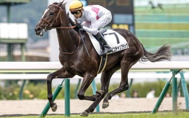 【スプリングS予想】伏兵の台頭目立つも人気馬軽視は危険 AIは“キャリアの浅い”一頭を推奨