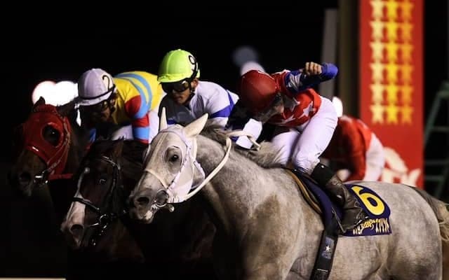 史上初の「JBC地方馬V」 フジノウェーブの快挙と彼に続いた名馬たち