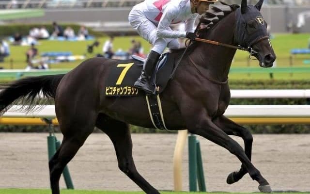 母のきょうだいに活躍馬ズラリのキタサンブラック産駒 血の後押し受けて重賞初Vだ