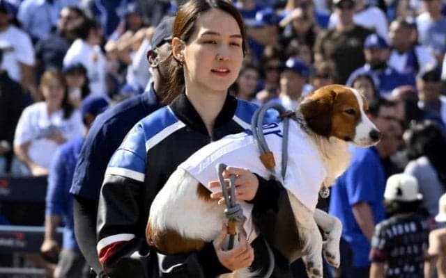 「日本が特別な国になるように」真美子夫人は同僚妻に粋な“差し入れ”が話題 自身はLA留守番「文化、食べ物、経験を楽しんで」