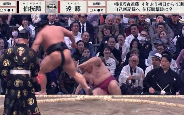 人気力士が土俵下に転落で“まさか”の展開 平和な光景に「みんな嬉しそうw」ほっこり