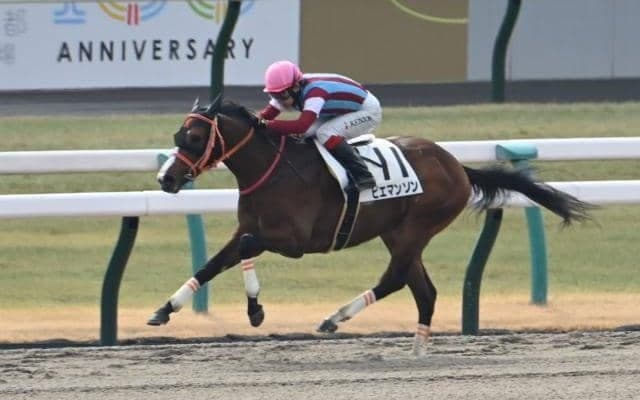 祖母は名牝カワカミプリンセス 良血馬が昇竜Sでオープン初勝利なるか