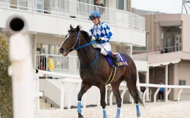 【大井・フジノウェーブ記念】売得金は前年比85.5%…イグザルトが圧勝