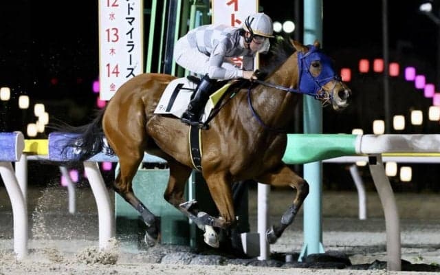 【船橋・フレンドリービット特別】ジャスティファイ産駒のローリーグローリーが5馬身差の圧勝