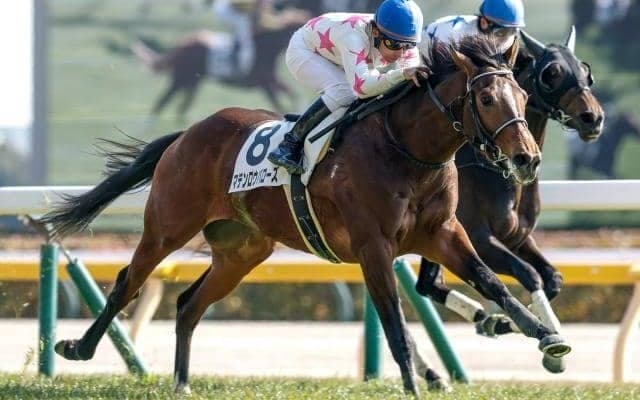 【スプリングS枠順確定】マテンロウバローズは6枠8番、ダノンセンチュリーは1枠1番