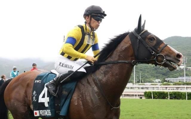 【金鯱賞枠順確定】プログノーシスは7枠8番、デシエルトは5枠5番