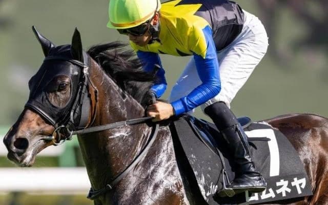 三冠牝馬リバティアイランドの半姉 房総特別で待望の3勝目なるか