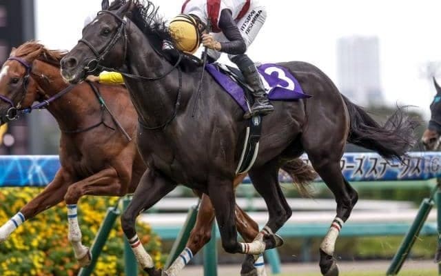 【高松宮記念想定馬・騎手】ルガル、ナムラクレアなど19頭