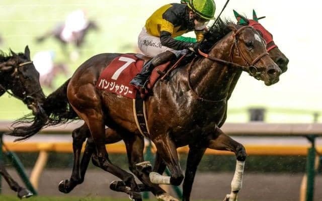 【ファルコンS想定馬・騎手】パンジャタワー、クラスペディアなど23頭