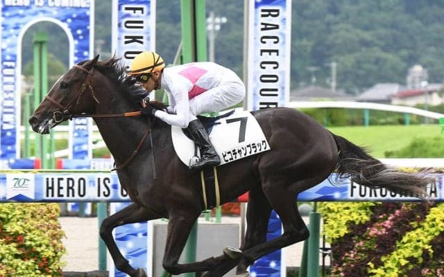 【競馬予想】皐月賞トライアル、スプリングＳは「レースと縁がある血」を持つ２頭が推し